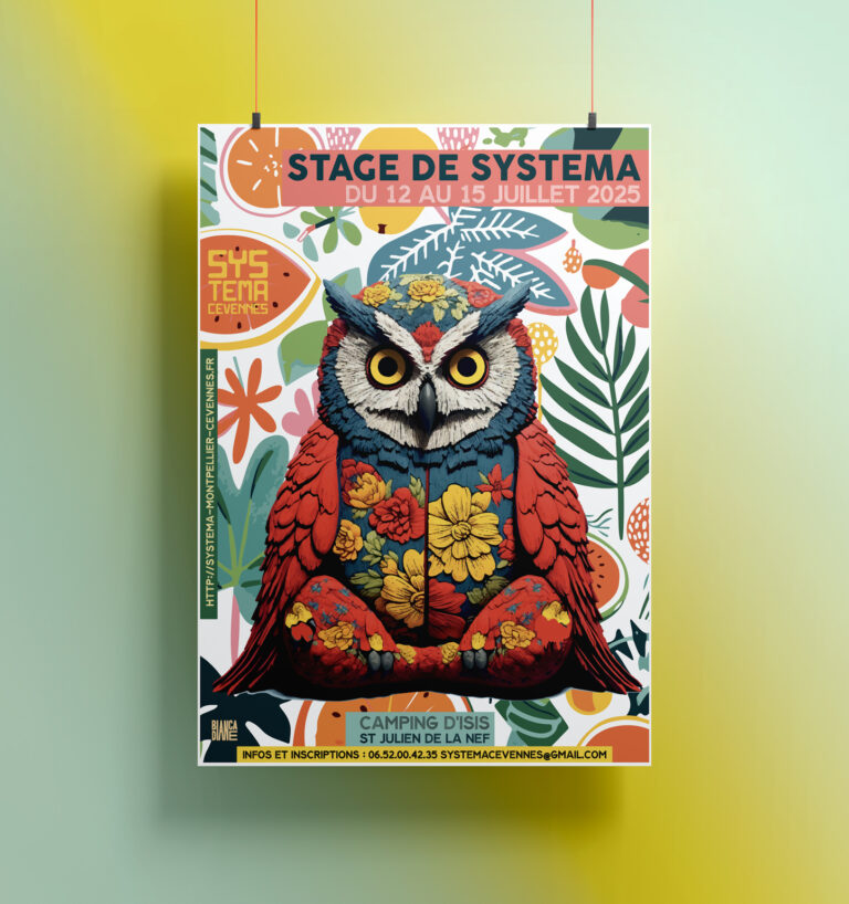 Poster systema25b 768x818